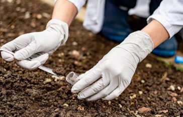 Soil Testing