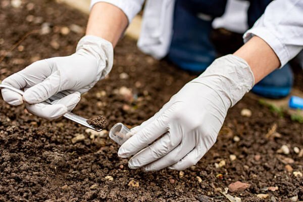 Researcher collecting soil sample in a test tube
